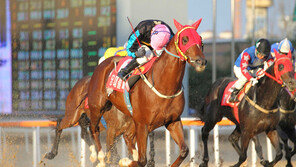 한국 대표 경주마 ‘당대불패’ 동상 세워진다