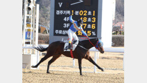 경마 대통령 박태종 ‘개인 통산 1900승’ 위업