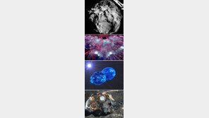 로제타호 촬영 ‘67P 혜성’표면 1위