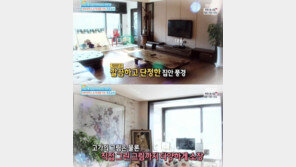 서성민·이파니 럭셔리 집 공개, 벽에 걸린 그림만 1억원 상당