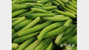 어려 보이게 만드는 식품, 쉽게 구할 수 있어 ‘관심’