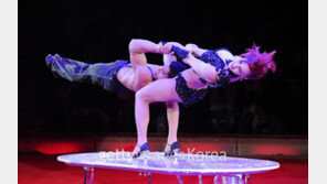 [화보] 눈 뗄 수 없는 아찔한 서커스 묘기