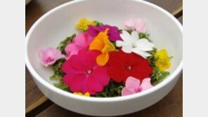 어려 보이게 만드는 식품, 속이 예뻐야 진짜 미인…‘4가지 음식 추천’