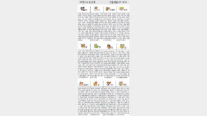 [오늘의 운세/12월28일]주역으로 본 운세 