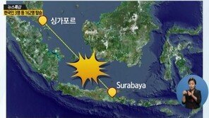 에어아시아 한국인 3명 탑승, 외교부 측 “일가족 추정”