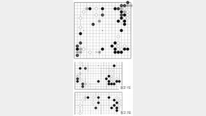 [바둑]제58기 국수전… 실착 49