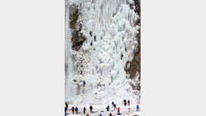 100m 빙벽 정상을 향하여… 겨울을 즐기다