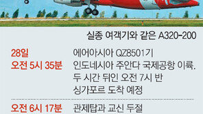 ‘하늘위 참사’ 2014년만 세번째… ‘말레이의 악몽’ 