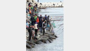 [부산/경남]“바다낚시 손맛 좀 볼까”