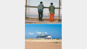 [인천/경기]“인천에 자연해안은 없다”