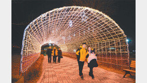 [대구/경북]사문진 주막촌 빛 터널