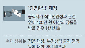 정치권 싸움에… 집단 이기주의에… 발 묶인 국가개조