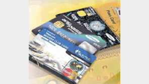 신용카드 만들때 주민번호 안쓴다…대신 ARS 전화인증?