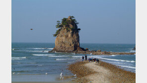 “꽃지해변 낙조와 함께 보내는 연말 어때요?”