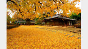 관광공사 후쿠오카 지사, 드라마 촬영지 선호도 조사