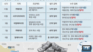 해외 건설수주 초비상 “한국 담합경력” 음해에 시달리고… 유럽 저가공세에 타격 
