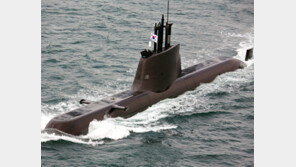 통영함, 결국 음파탐지기 뺀채 해군에 인도 