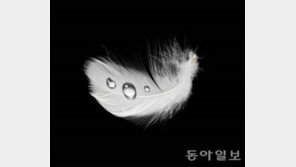 오리털 점퍼 세탁 방법, 따뜻하게 입을 수 있는 방법은?