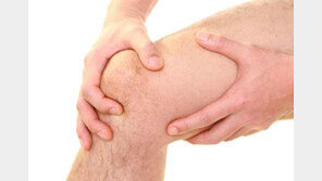 서구화된 식습관이 류마티스관절염 부른다