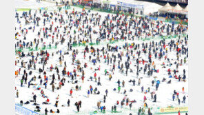 평창송어축제, 안전사고 예방에 만전