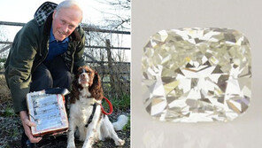 70대 男, 개 데리고 산책 중 다이아몬드 ‘횡재’