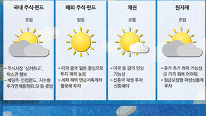 “美-中 주식-펀드 투자 유망… 강남권 재건축 노려볼만”