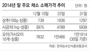 채소값 고공행진… 상추 20일새 75% 뛰어