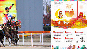 새해 첫 주말엔 렛츠런파크로 GO!