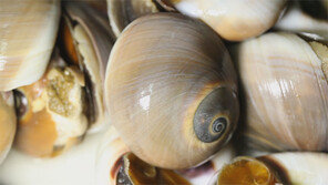 [ON AIR] 뺐다 다시 끼운 통골뱅이 과연 믿고 먹을수 있을까