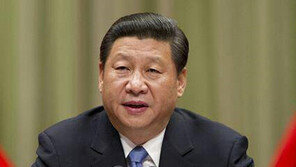 시진핑 “쏜 화살은 돌아오지 않는다… 반부패의 칼 높이 들어라”