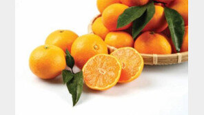 1월 슈퍼푸드 5가지, 1월에 필요한 영양소 한 가득… “어떤 채소?”