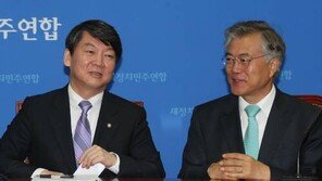 새정치민주연합 대신 민주당? 안철수, 당명 개정 논란에 반응이…