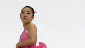 12년만의 ‘빙판 짝짓기’…국내 명맥 끊긴 피겨 페어 부활