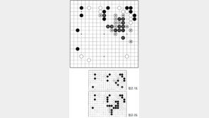 [바둑]제58기 국수전… 실착 47