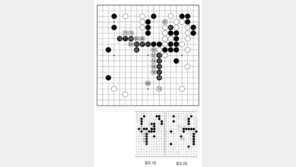 [바둑]제58기 국수전… 실착