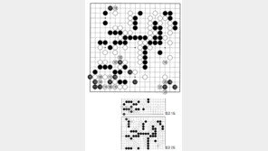 [바둑]제58기 국수전… 재빠른 선수 117