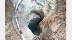 용소동굴 천연기념물 지정, 도롱뇽과 서식 어류 등 다양한 수중생물도 확인