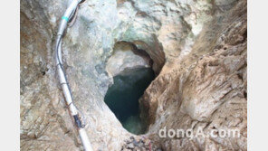 용소동굴 천연기념물 지정, 국내 발견 최대 수중동굴…물고기도 산다고?