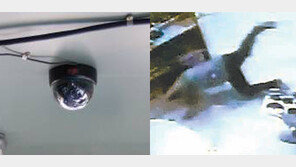 어린이집 CCTV 설치 의무화 추진, 경찰 4만여 곳 어린이집 실태조사…결과는? 