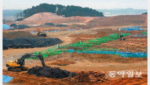 서울올림픽땐 정부 전폭지원… 평창은 “사람도 돈도 없다”