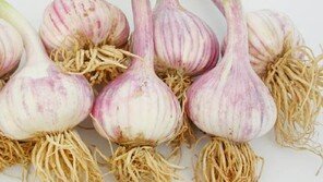 간을 지키는 5가지 식품, 마늘은 면역 기능 증가에 노화 지연까지