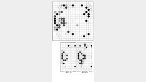 [바둑]제58기 국수전… 실착 38