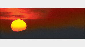 [Money&Life]도약의 출발점은 고객 한사람 한사람… 금융, 성찰과 도전에 나서다