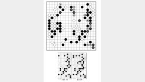 [바둑]제58기 국수전… 실수 102