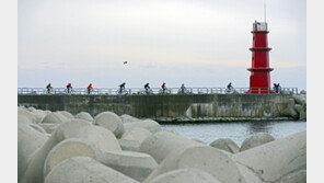 [Q매거진/Activity]차디찬 바닷바람 온몸으로 가르며…