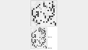 [바둑]제58기 국수전… 무리수 124