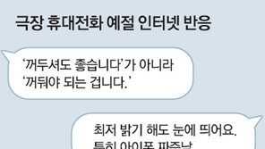 “스마트폰 반딧불 이제는 그만”… ‘영화관 민폐족’에 댓글 3500개