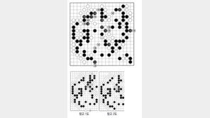 [바둑]제58기 국수전… 되살아난 사석