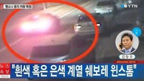 ‘크림빵 뺑소니’ 용의차량 원스톰 운전자, 경찰에 자수