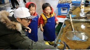 ‘슈퍼맨’ 서언 서준 수산시장 점령, 맨손으로 살아있는 새우를? 